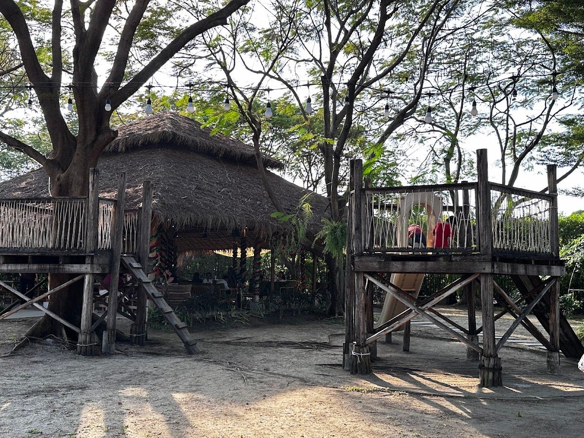 Sweet Poppy - Image 7