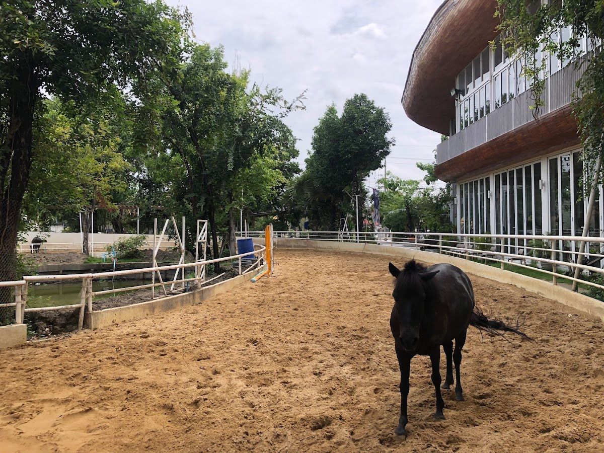 The Hay - Equestrian Center & Eatery - Image 10