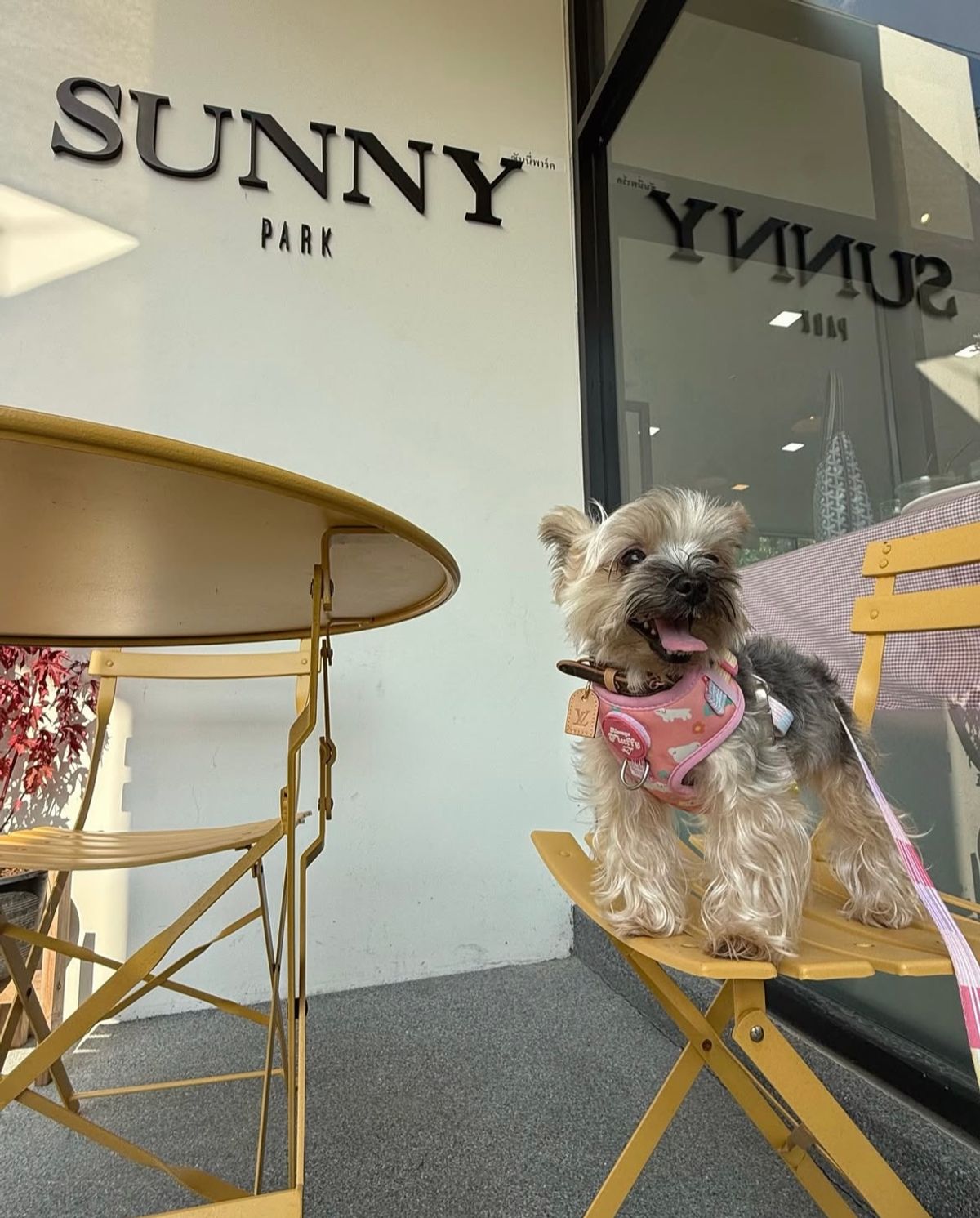 Sunny park - Image 10