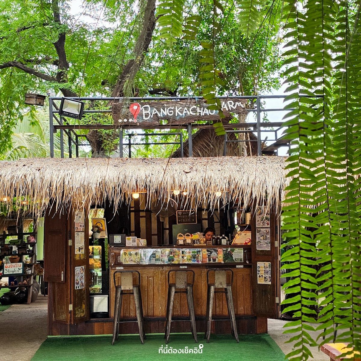 Bangkachao Farm - Image 6