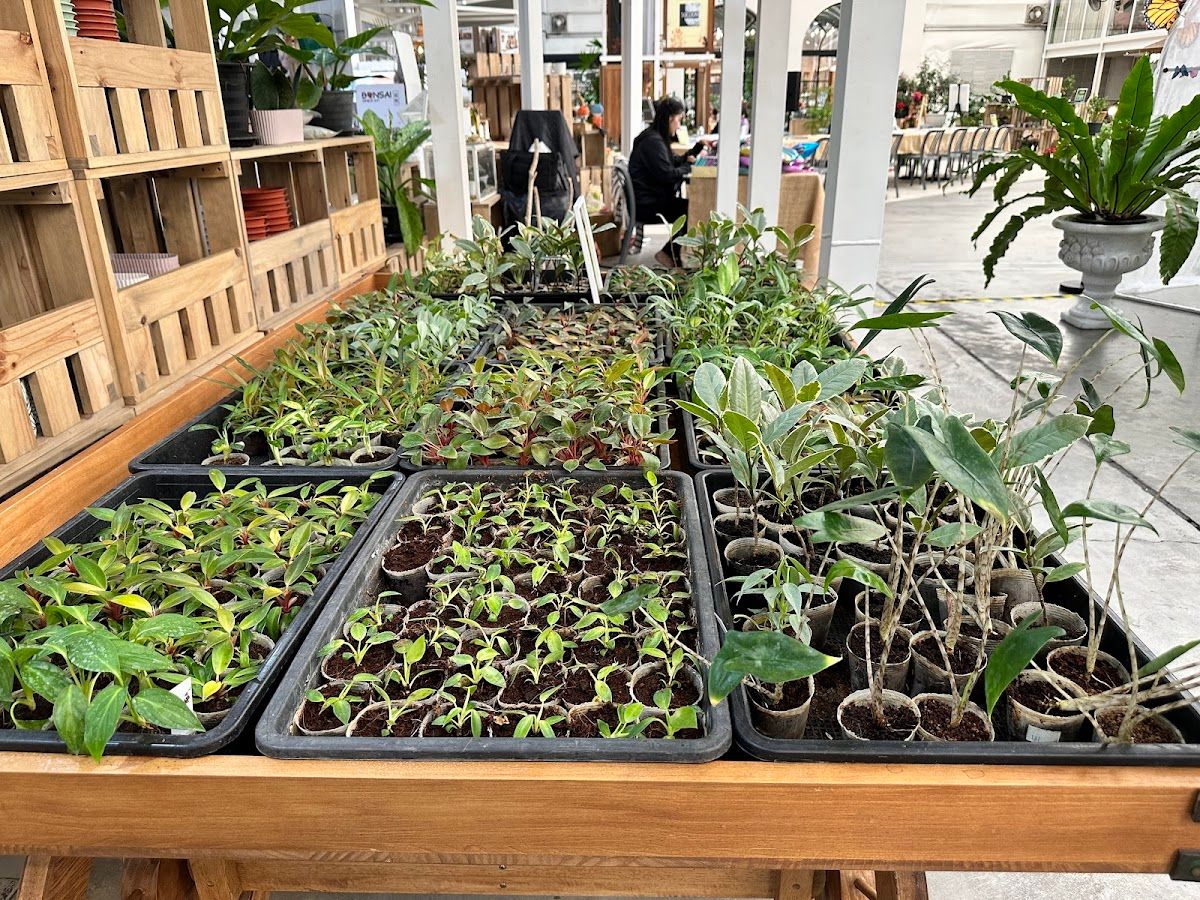 SAMA Garden - Image 9