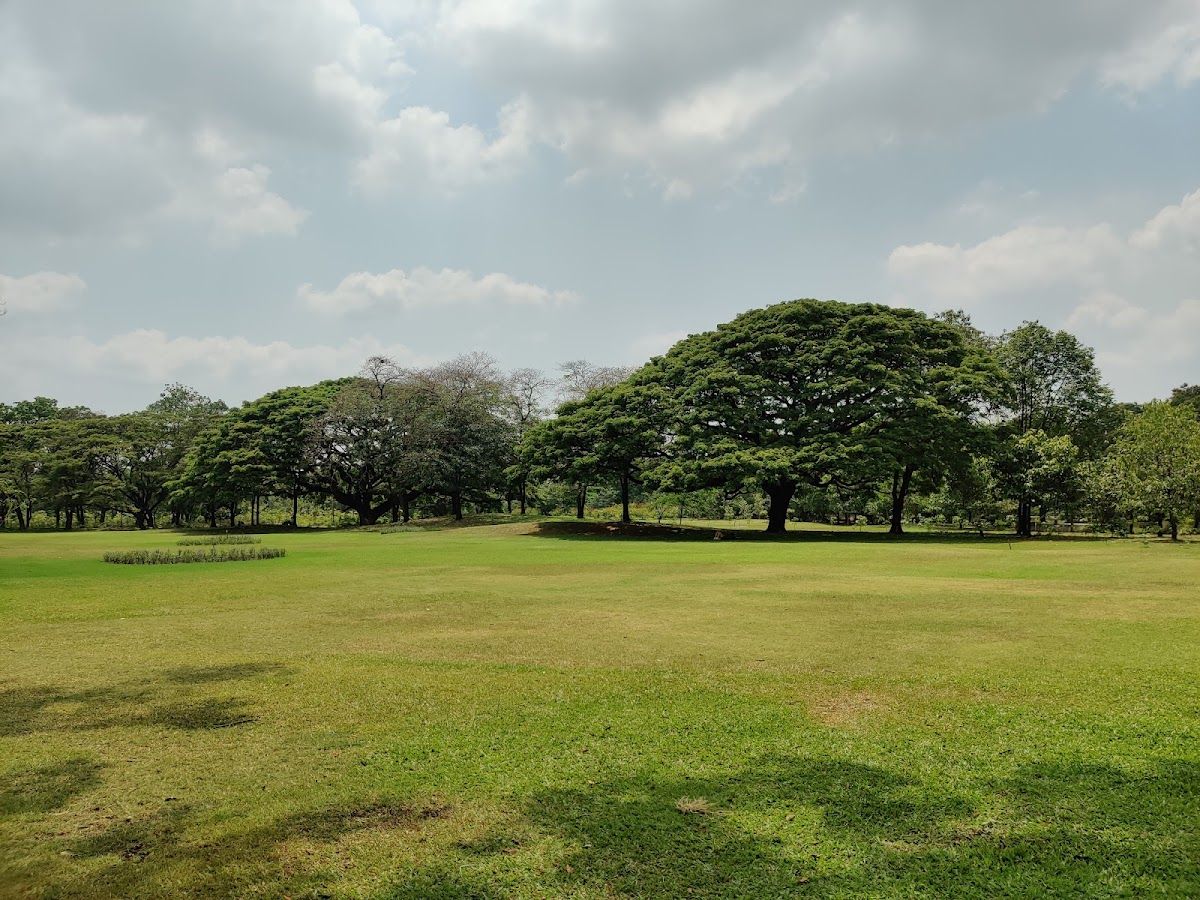 Wachirabenchathat Park - Image 1