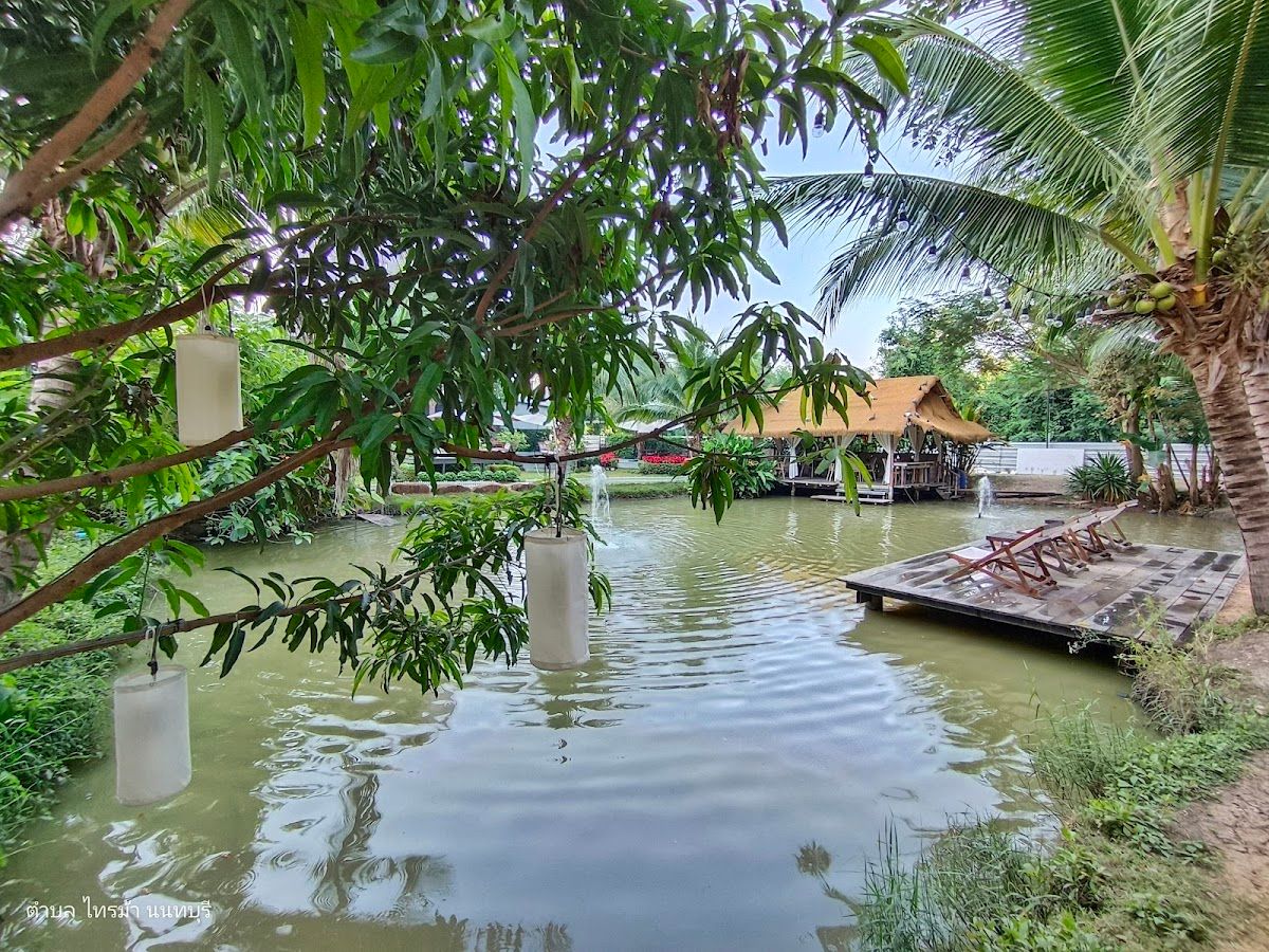 Kanin.cafe - Image 7