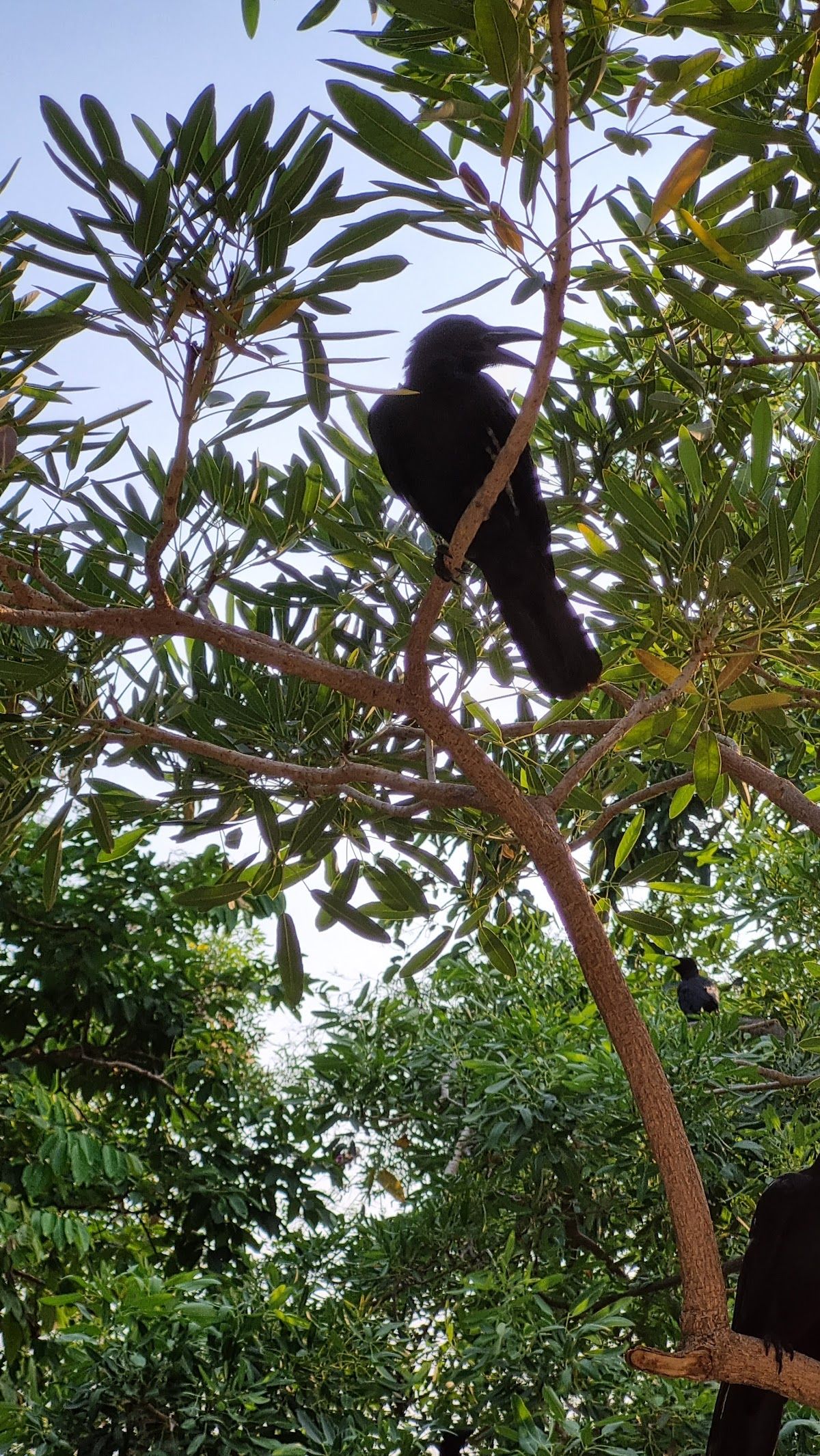 Playground - Image 9