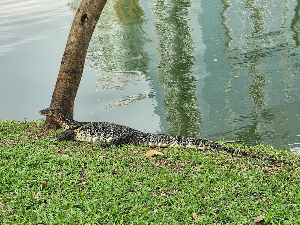 สนามเด็กเล่น - Image 8