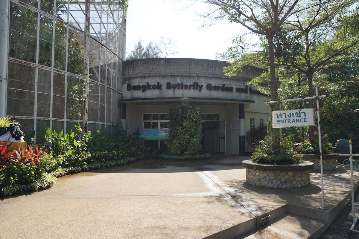 Bangkok Butterfly Garden and Insectarium - Image 3
