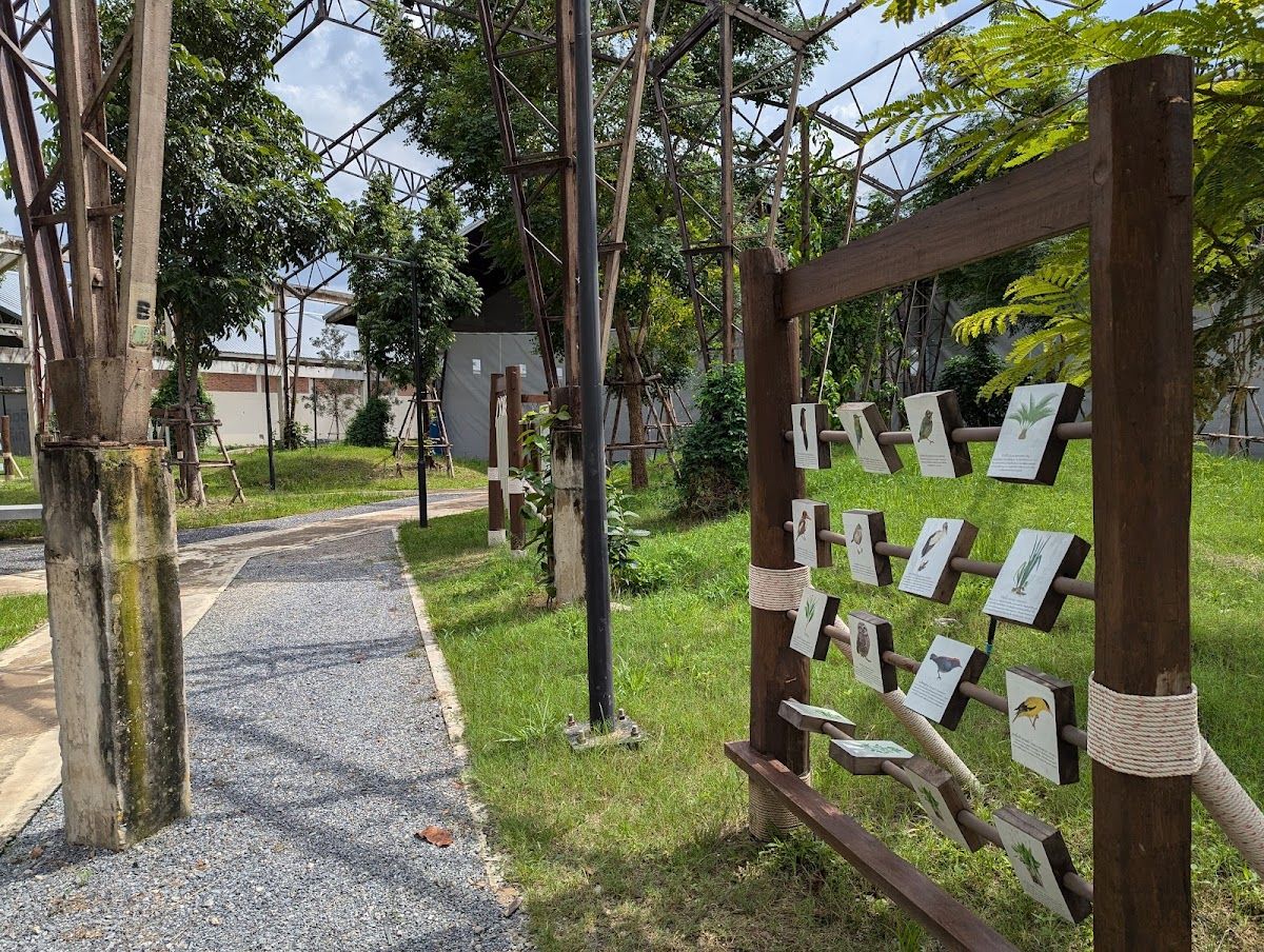 Benchakitti Forest Park Playground - Image 8