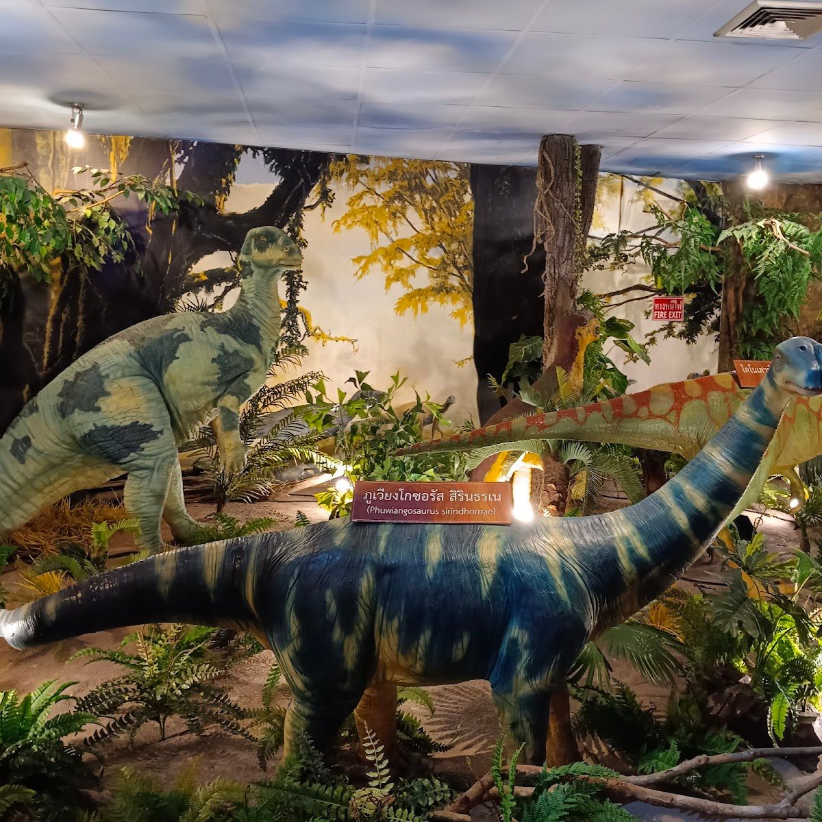 Science Center for Education - Image 10