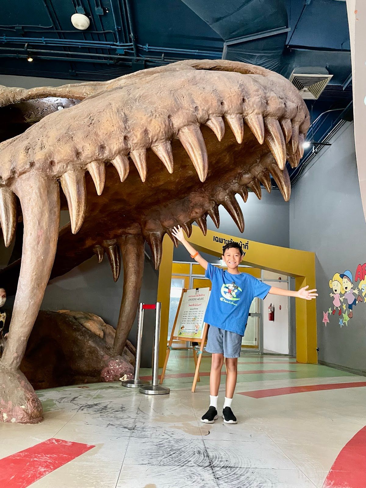 Children’s Discovery Museum - Image 7