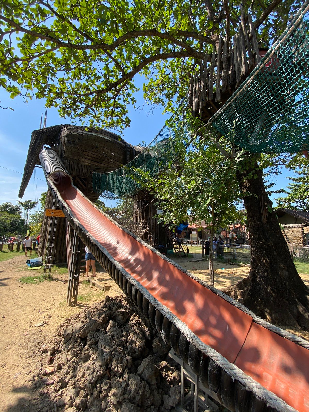 Get Growing Community Farm - Image 4