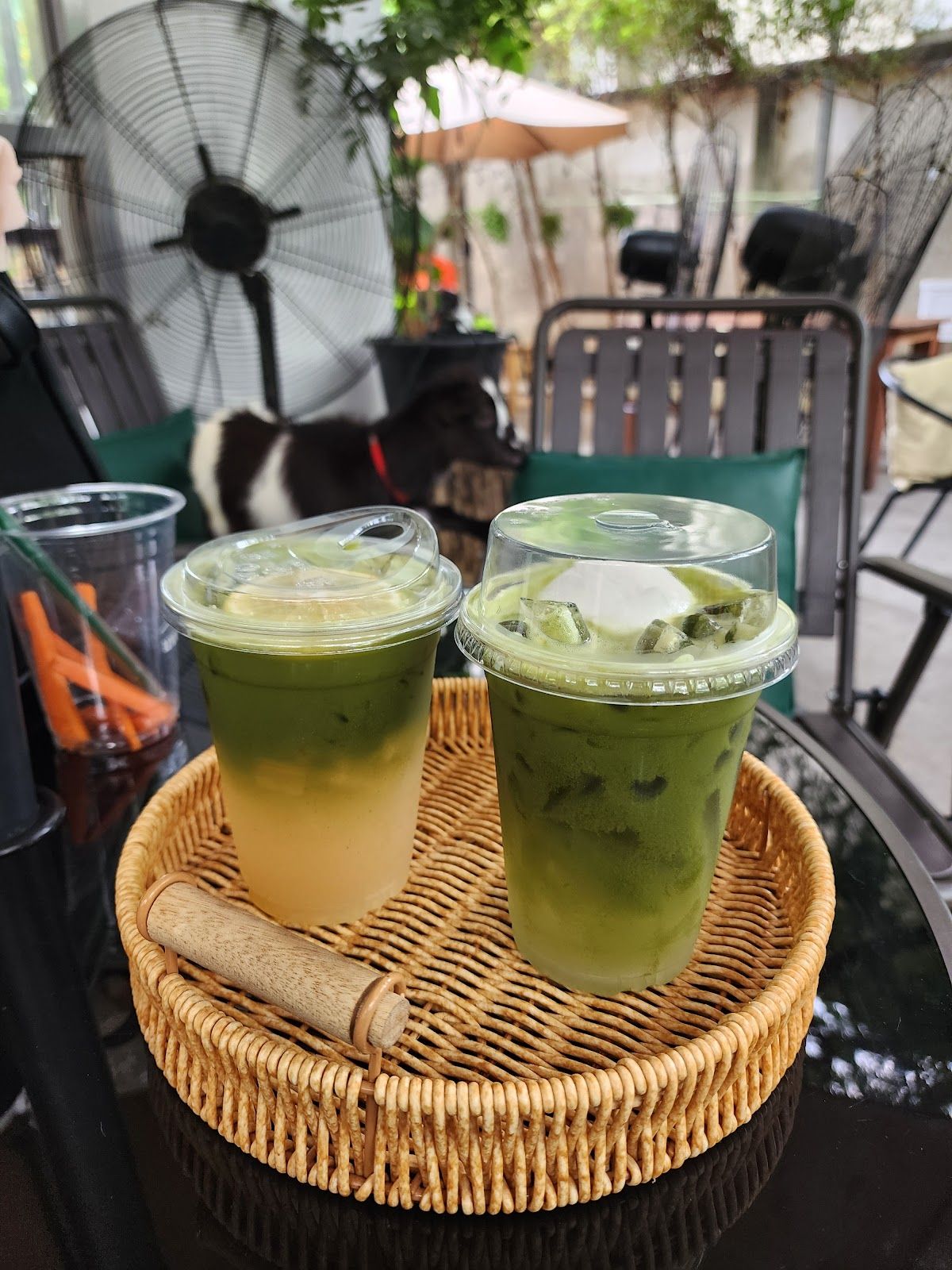 Little Wood - Image 5