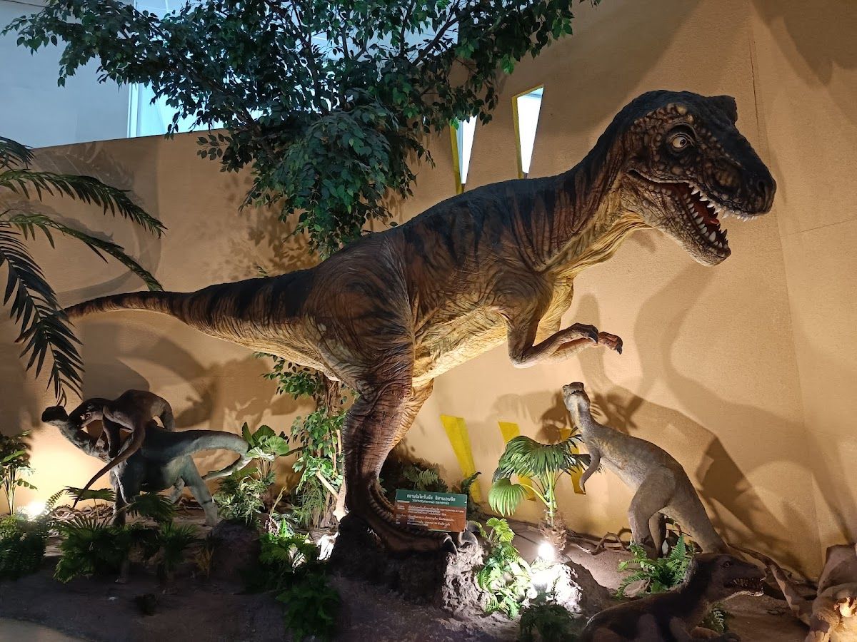 Science Center for Education - Image 5