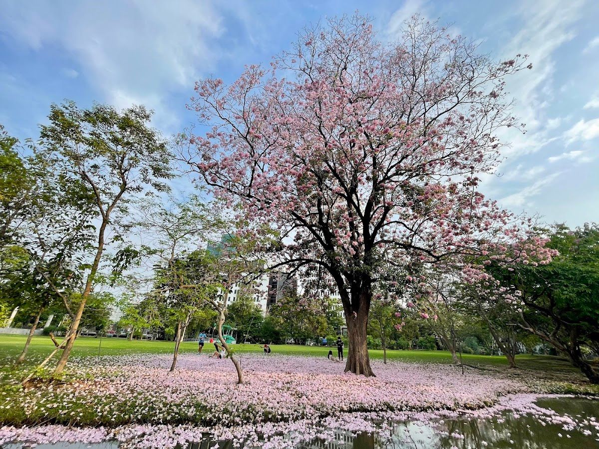 Wachirabenchathat Park - Image 6