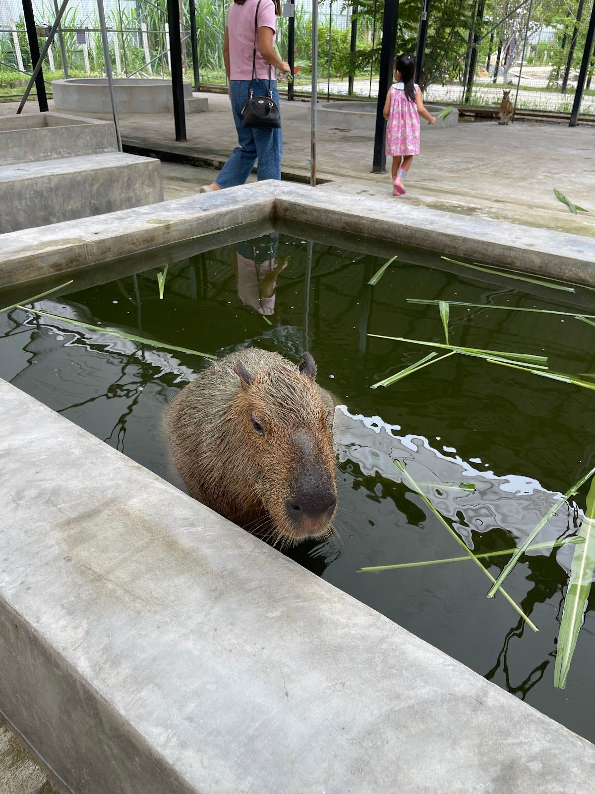 All Weather Farm - Image 6