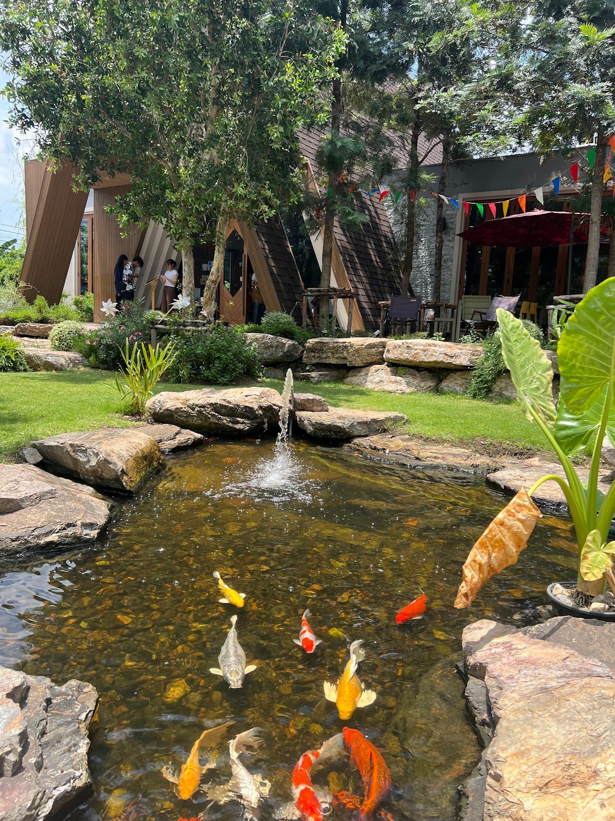 Kenora Park n Play - Image 9