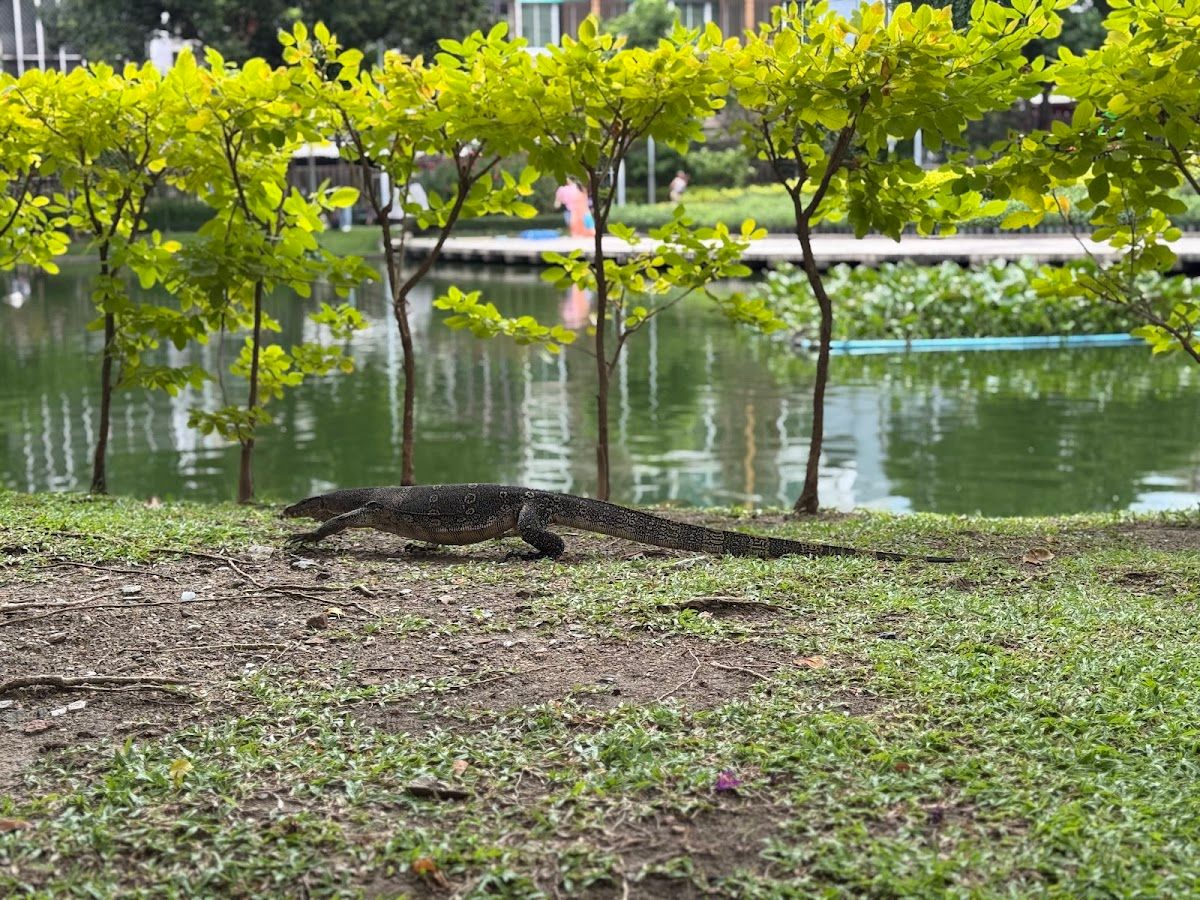Santiphap Park Playground - Image 6