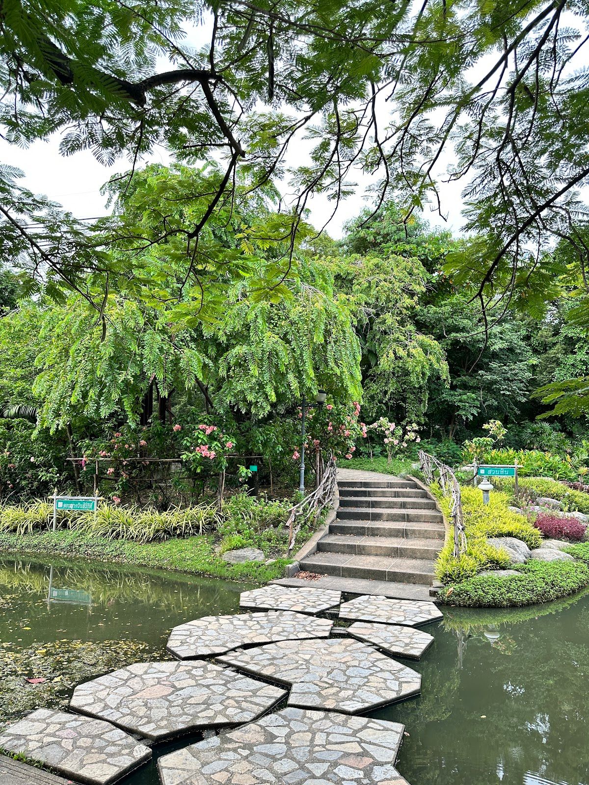 สวนสมเด็จพระนางเจ้าสิริกิติ์ - Image 2