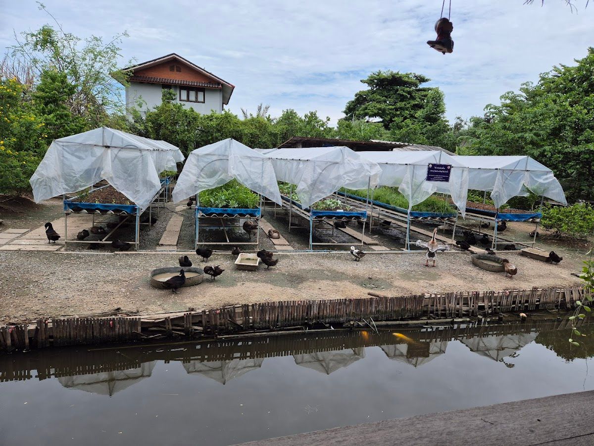 Bangkachao Farm - Image 10