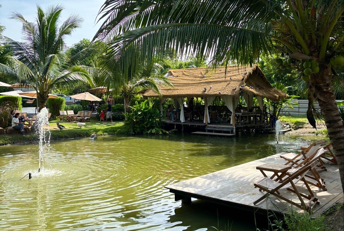 Kanin.cafe - Image 5