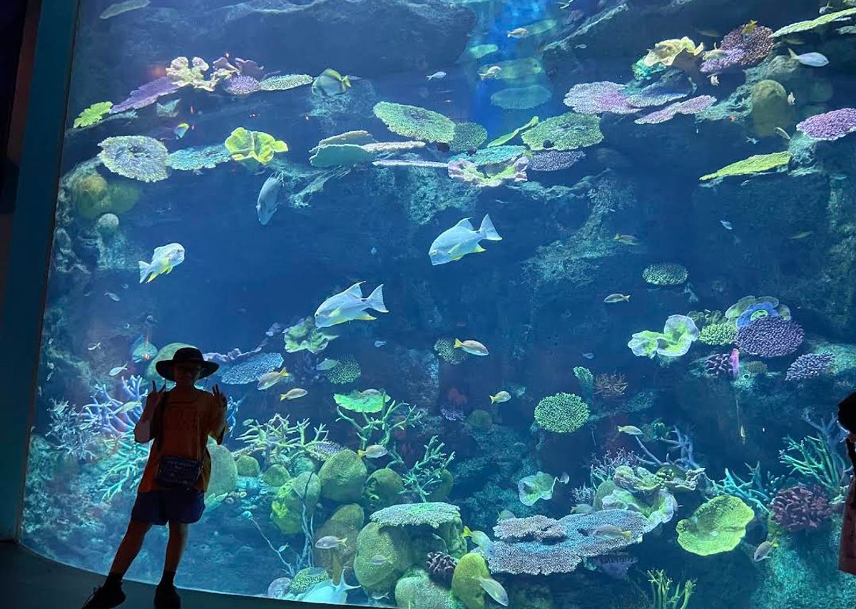 Sea Life Bangkok Ocean World - Image 5