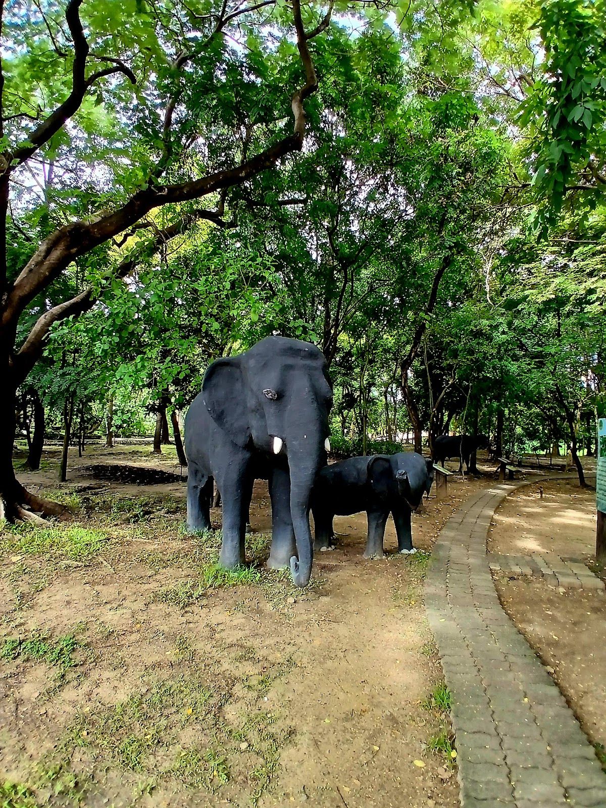 สวนสมเด็จพระนางเจ้าสิริกิติ์ - Image 8