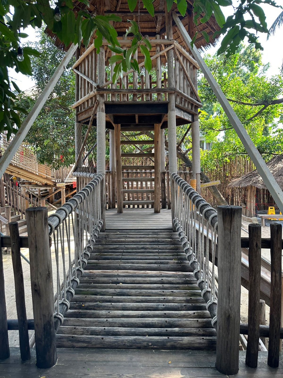 Safari Garden Playground & Cafe - Image 6