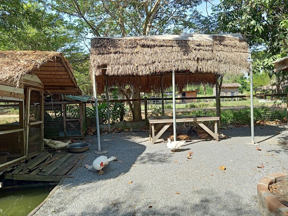 Farm de Lek - Image 5