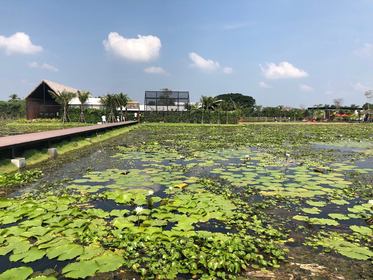 Dubua Cafe - Image 4