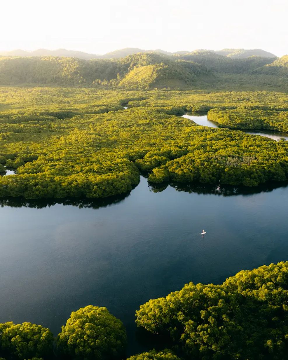Nay Palad Hideaway, featured case