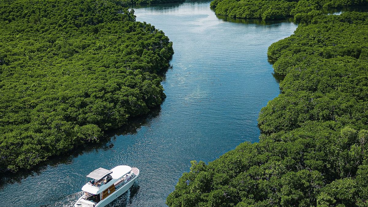 A boat moving through the mangroves of Siargao, seen from the air