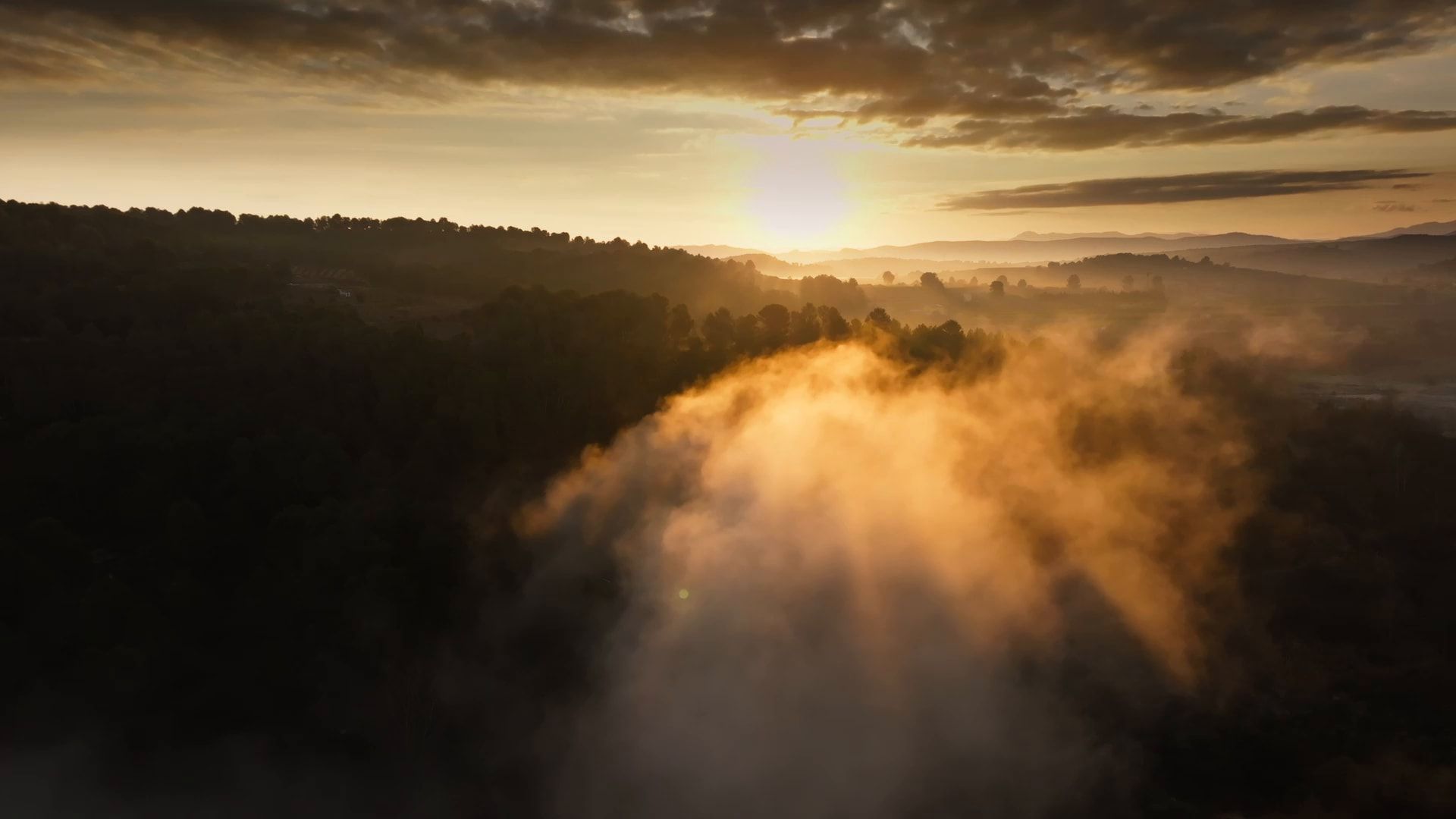 Sunlight breaking through morning fog over a forest at dawn, near Anna, Valencia