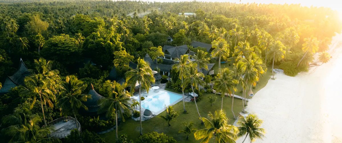 Aerial view of villas and a pool among palm trees, beside a white-sand beach