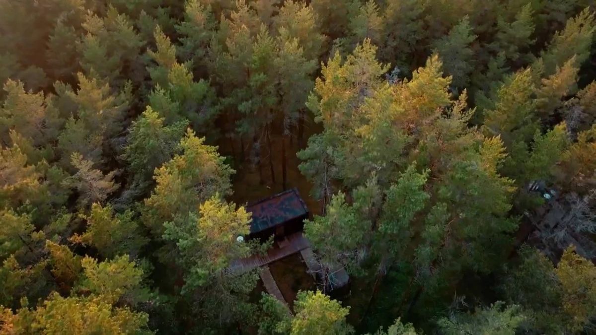 Aerial view of a cabin among trees, from the ViewSonic ColorPro shoot