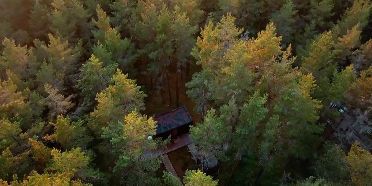 Aerial view of a cabin among trees, from the ViewSonic ColorPro shoot