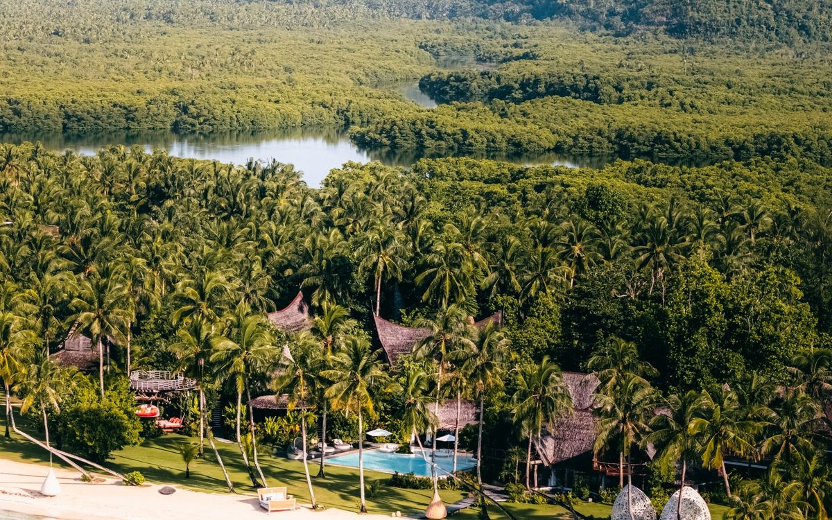 Aerial view of the resort: thatched villas and a pool among palm trees, with the mangroves behind