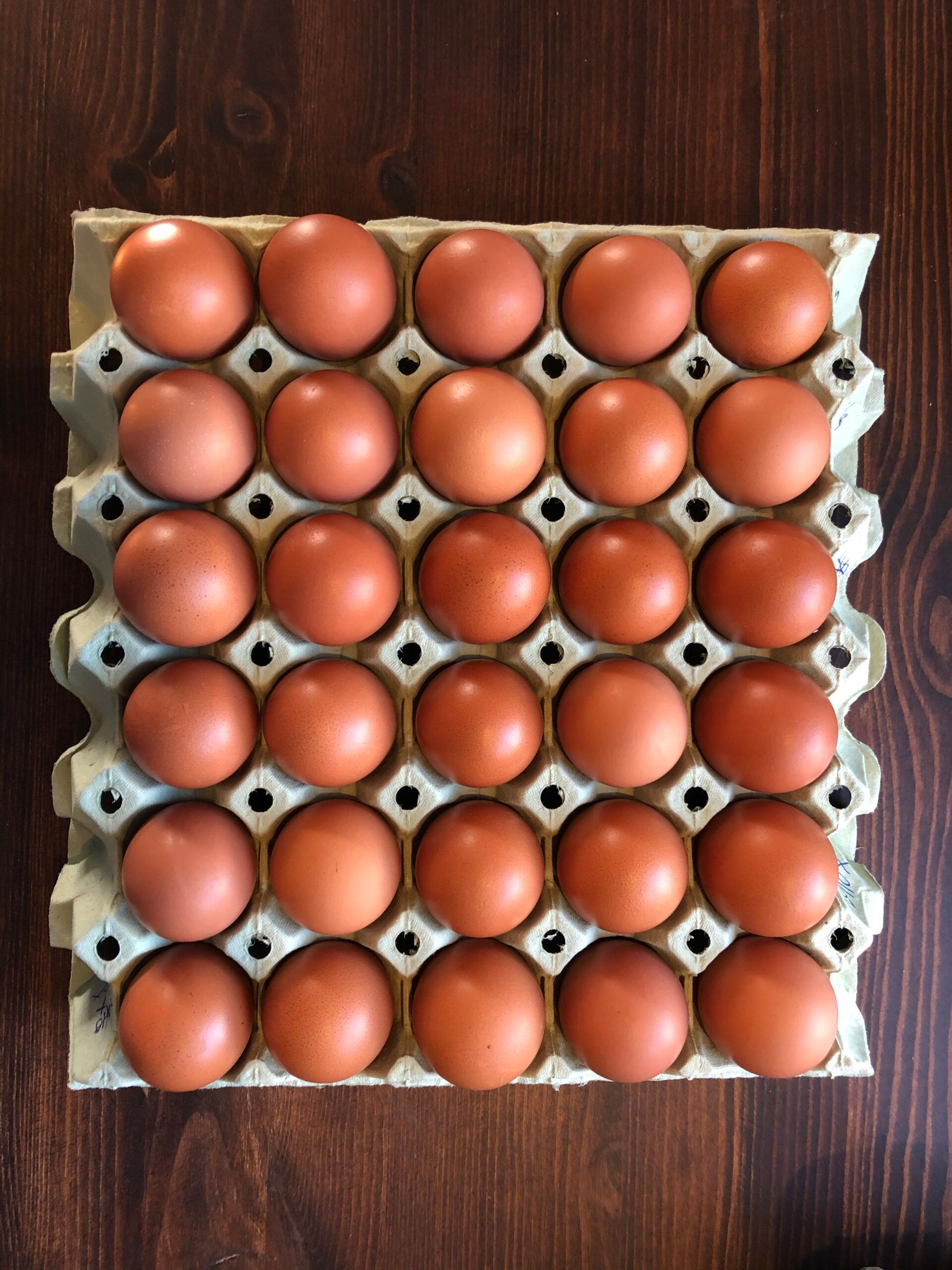 Bilde av Ferske gårdsegg