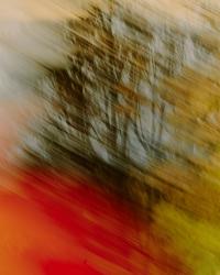 Glenfiddich - Made Thought