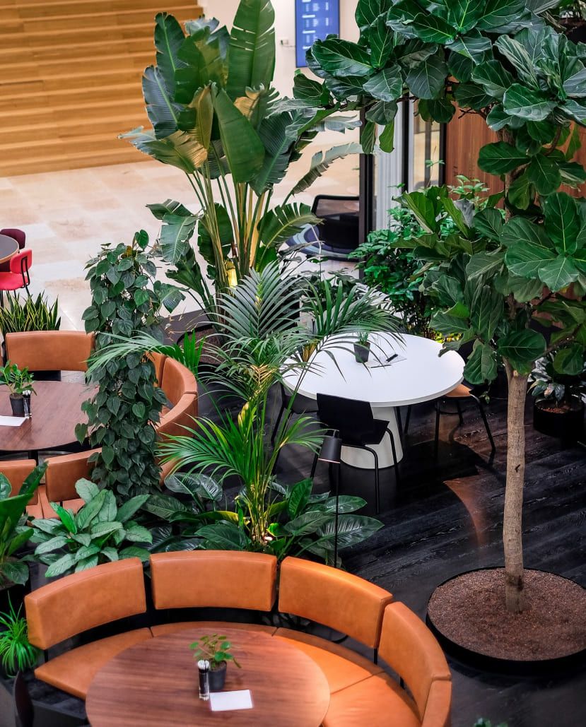 Reinspire Office Contact