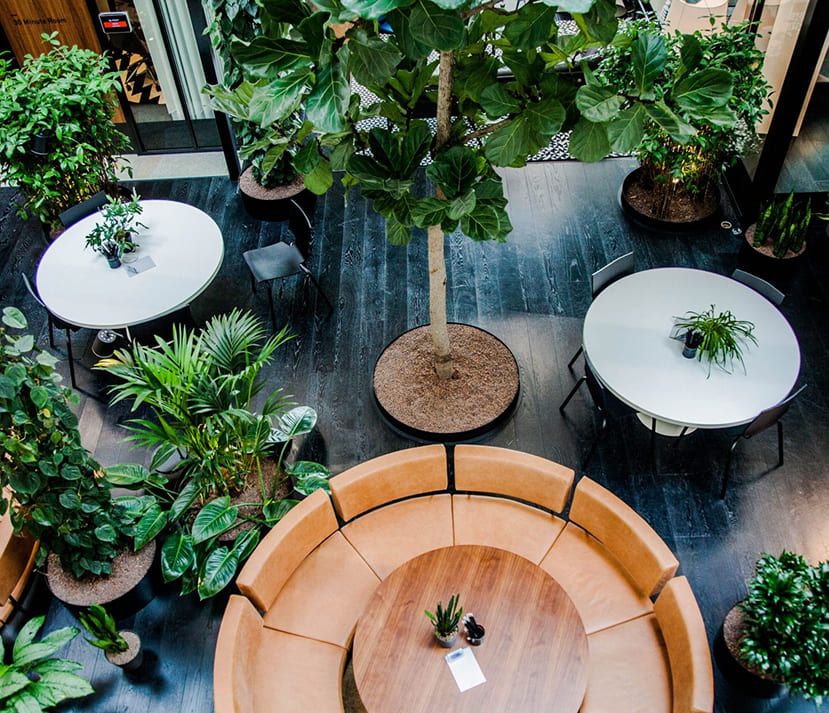 Reinspire Office Contact