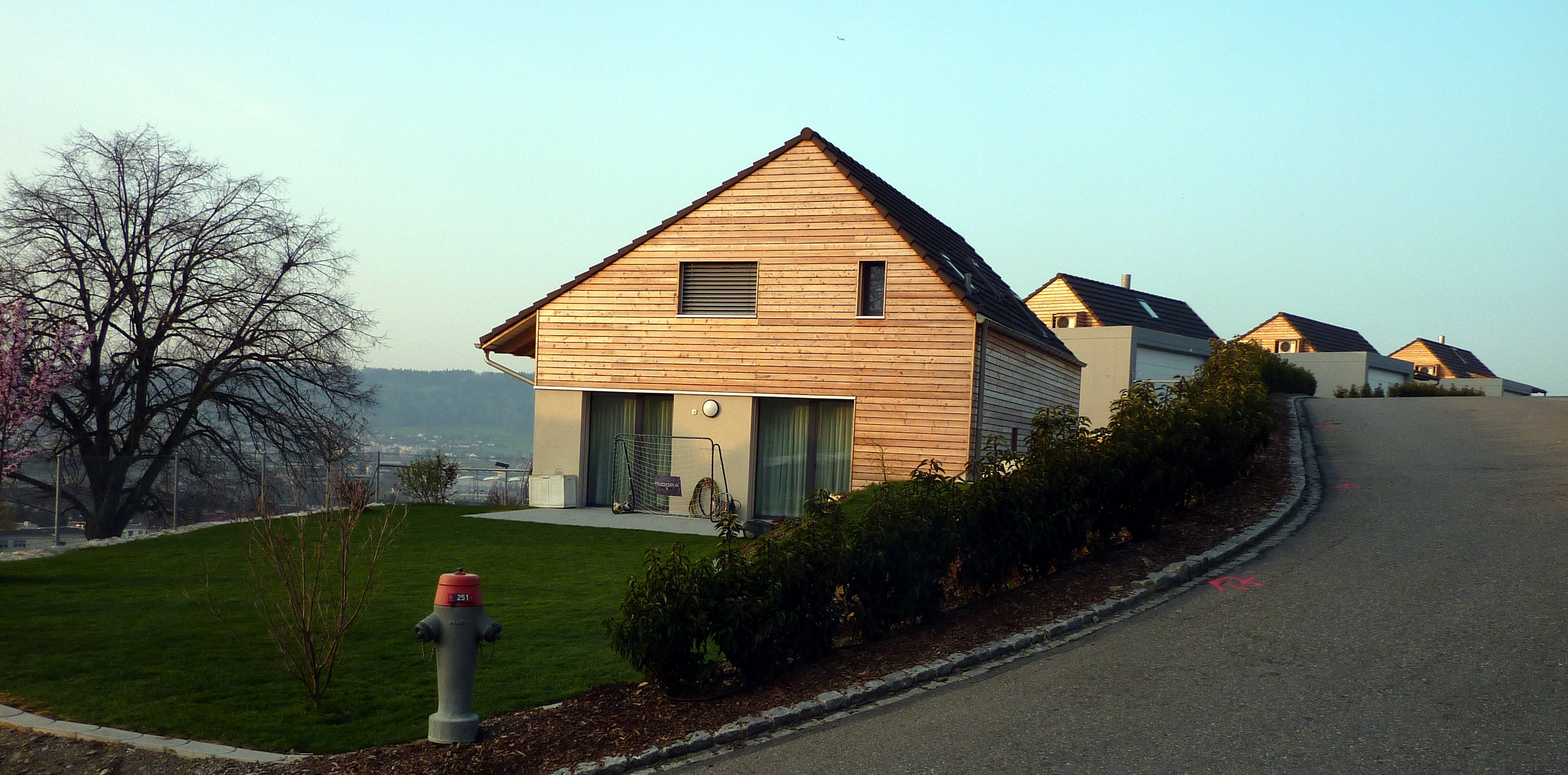 Wolfackerstrasse, Buchs
