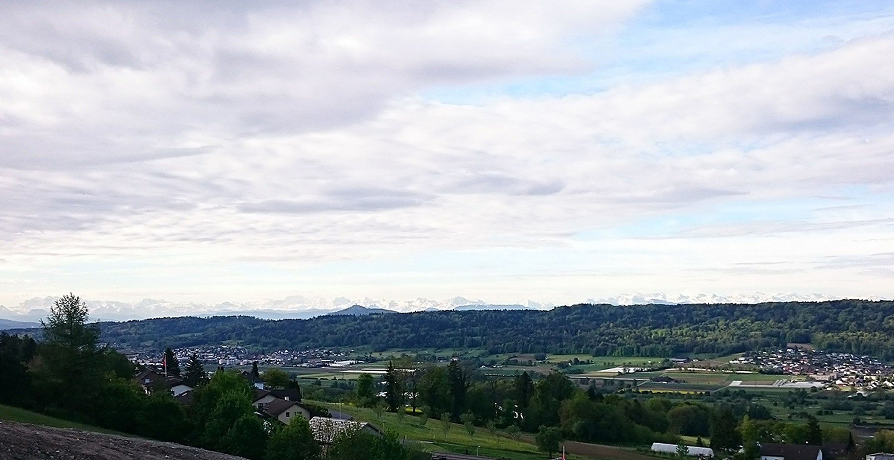 Weidgang, Bild 9