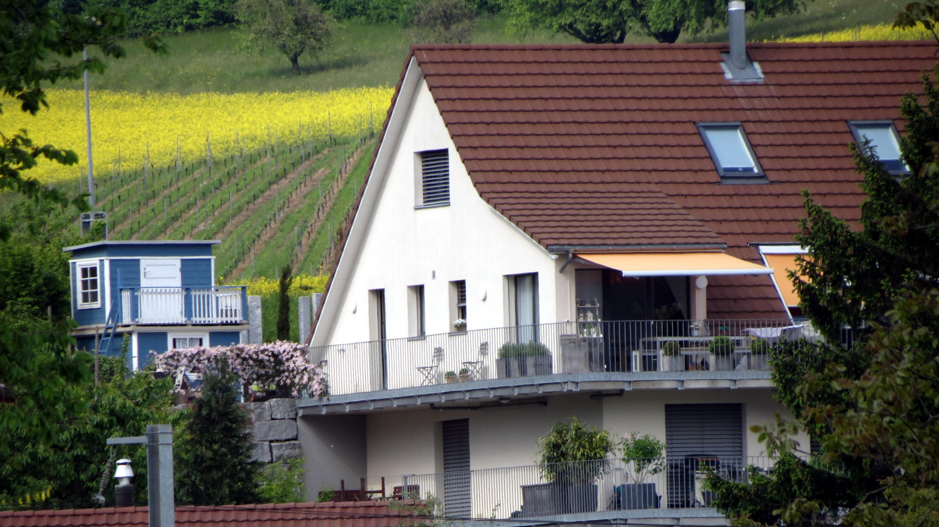Lährenbühl, Bild 1