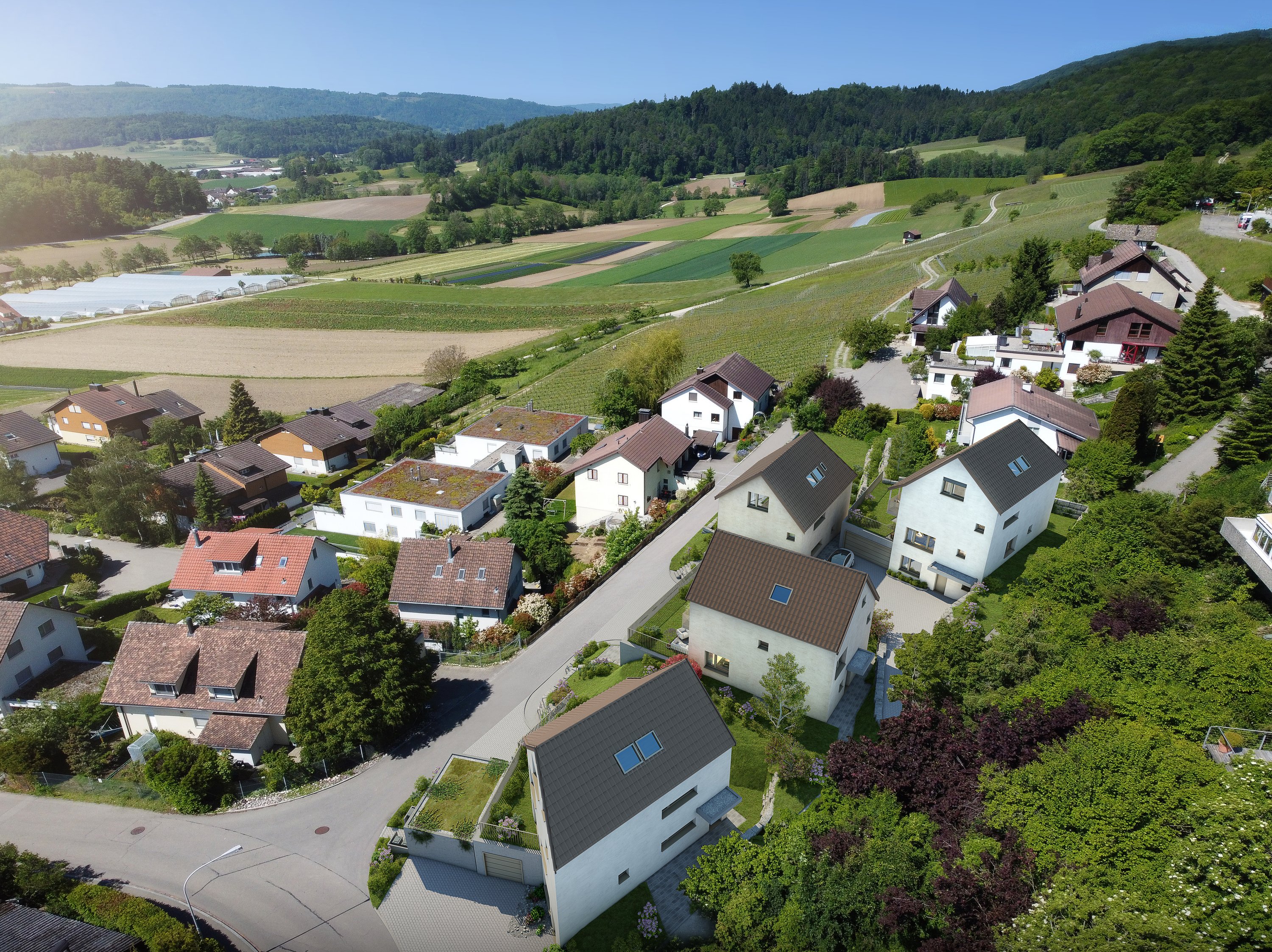 Die vier Häuser an der Alten Bergstrasse über Boppelsen
