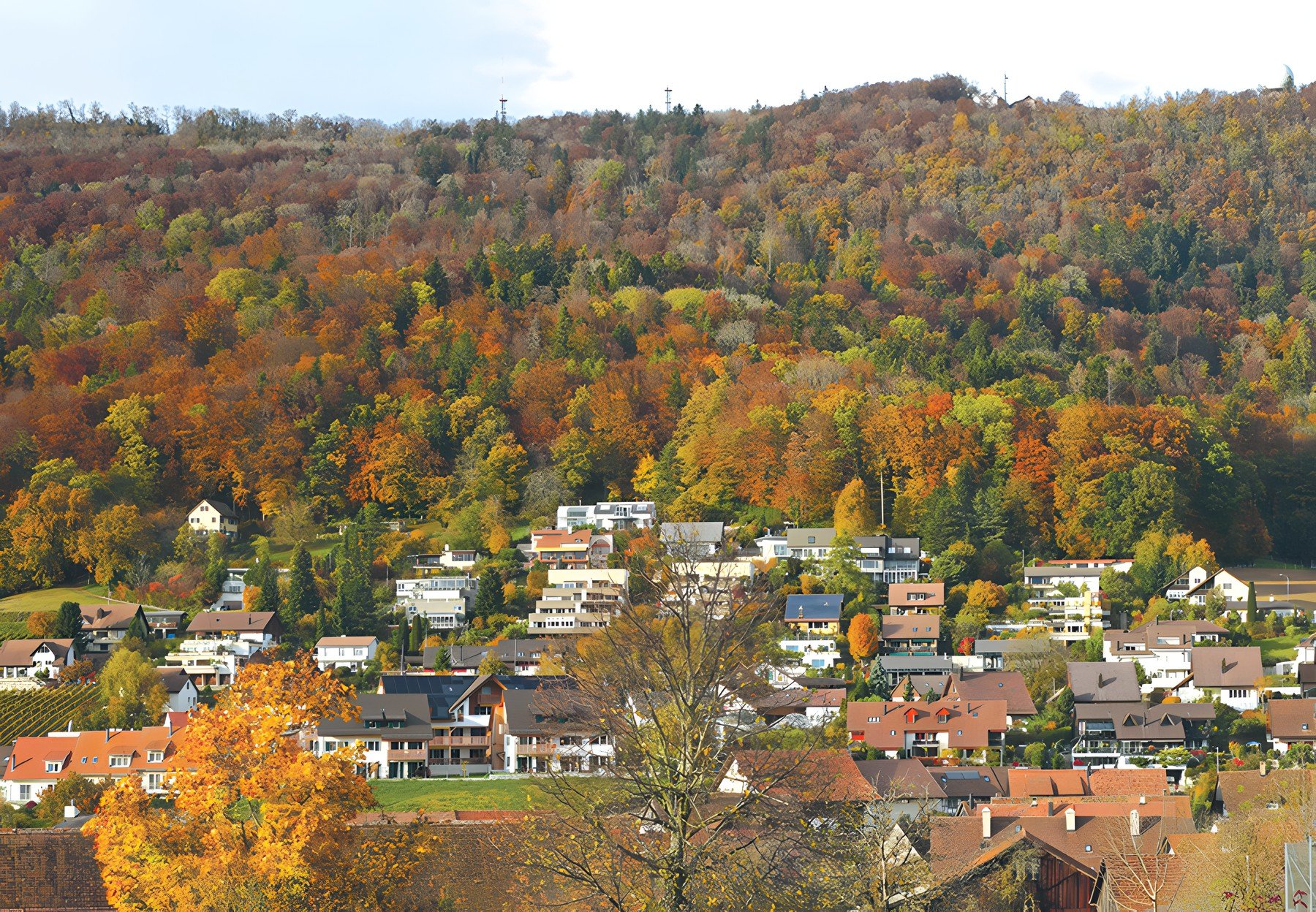 Hang mit Häusern an der Alten Bergstrasse im Herbst