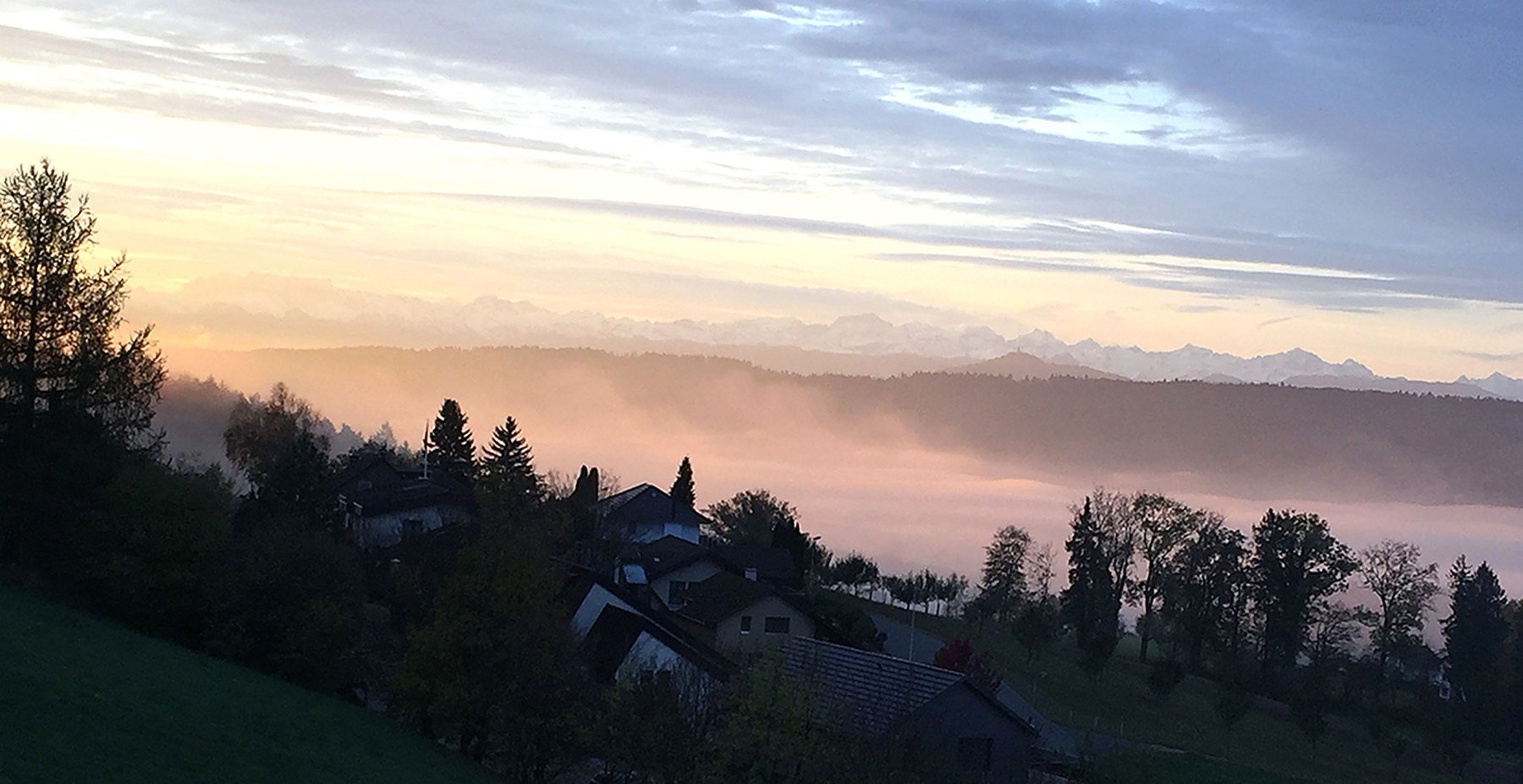 Weidgang, Bild 7