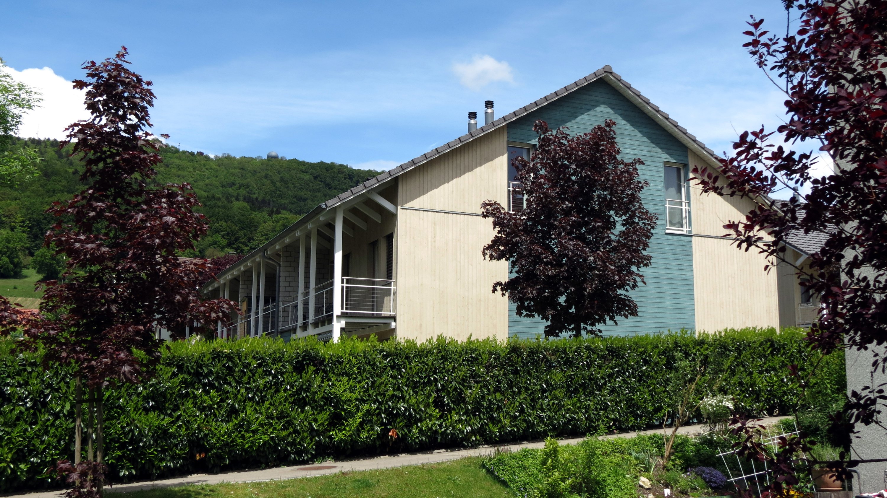 Hofwiesen, Boppelsen