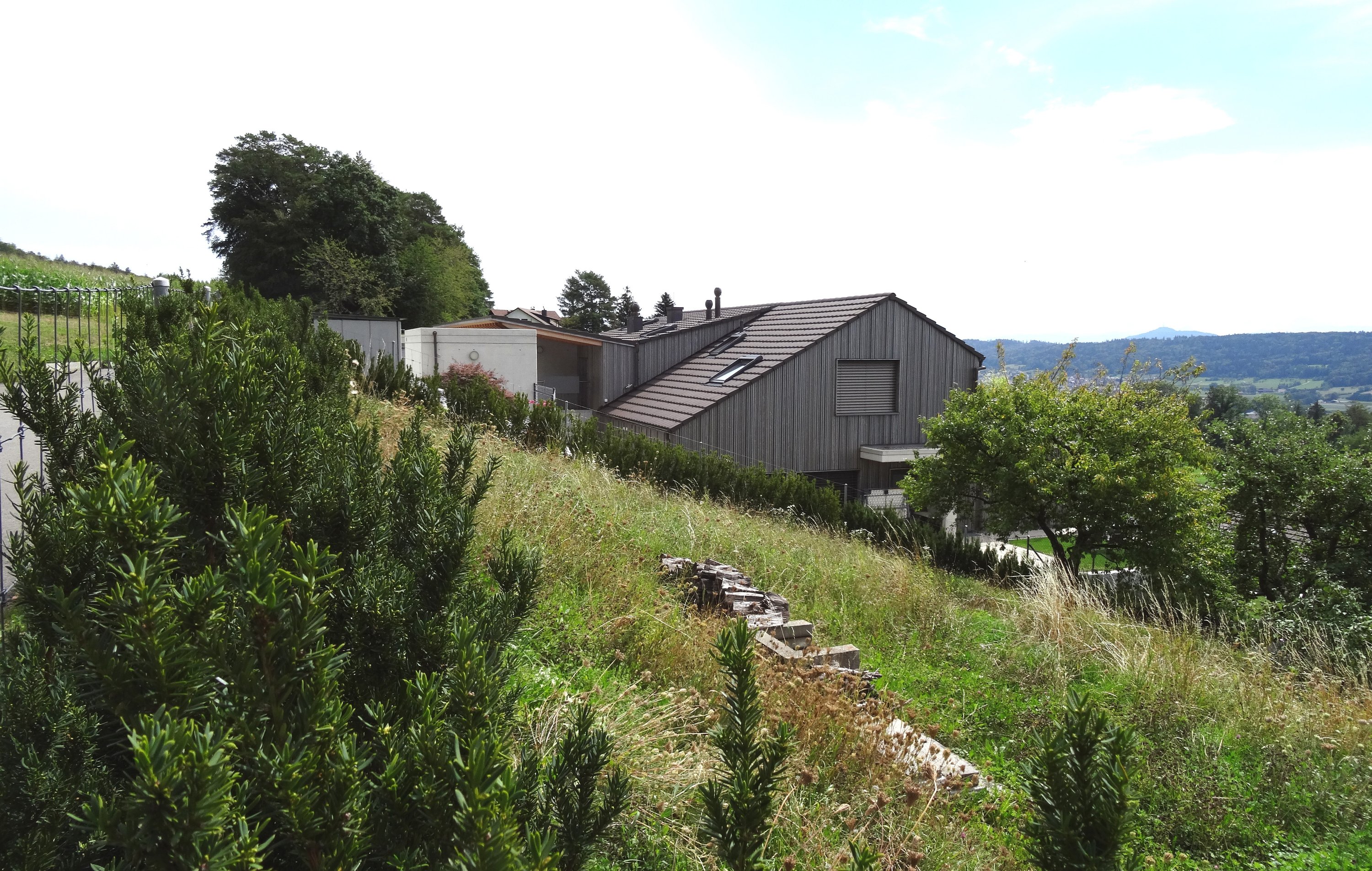 Weidgang, Bild 11