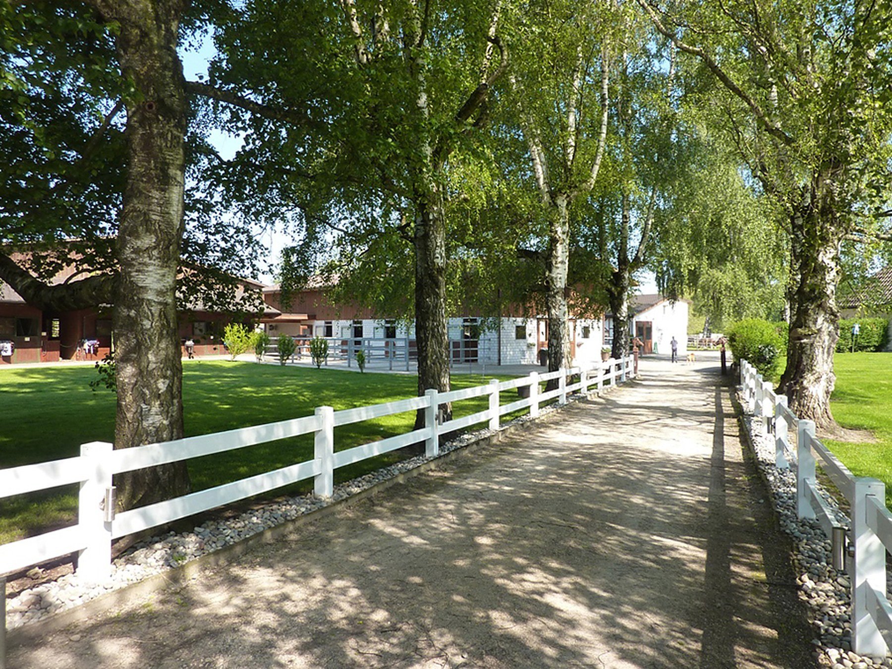 Stall Mainau, Dielsdorf