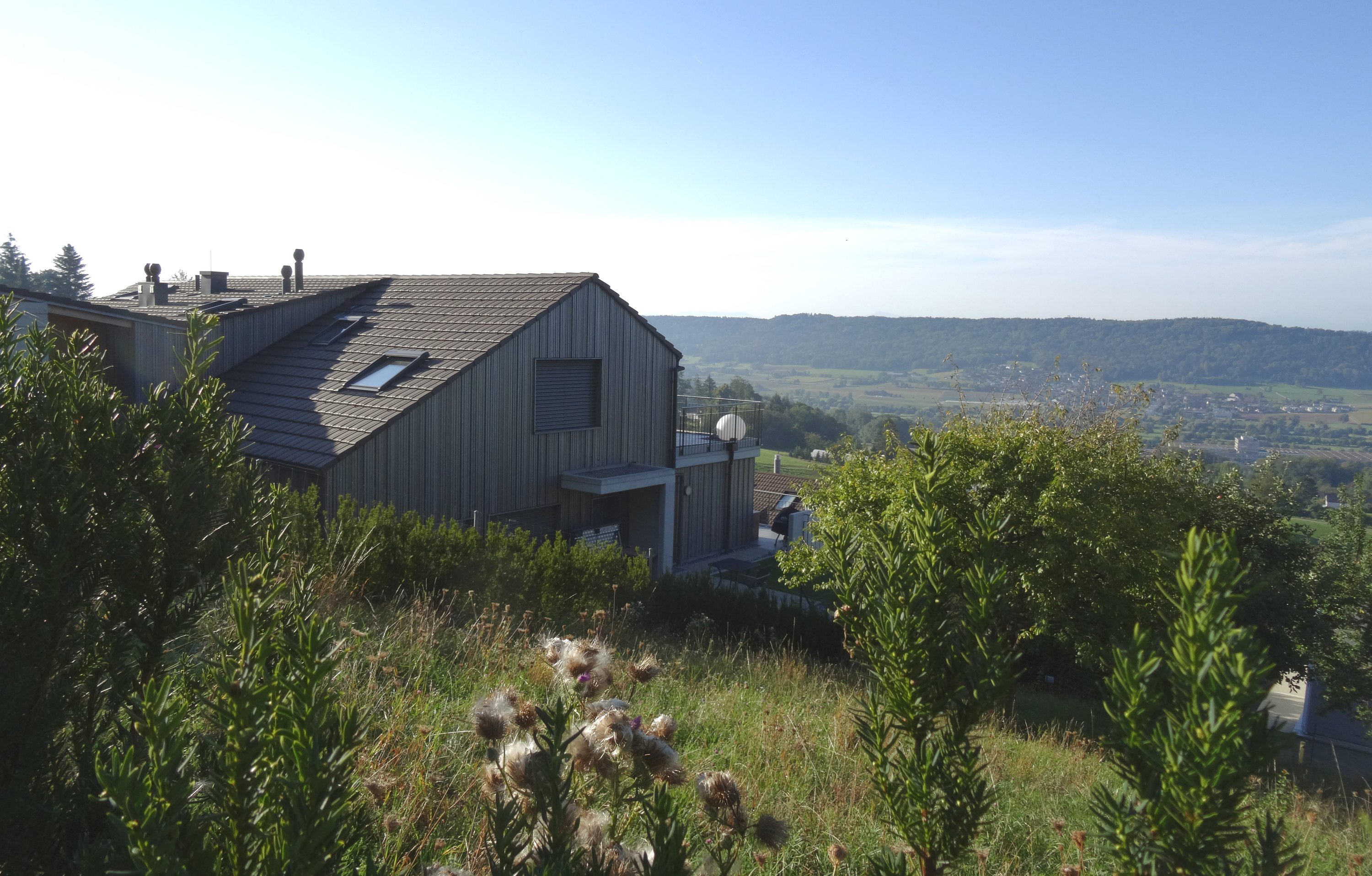 Weidgang, Bild 12