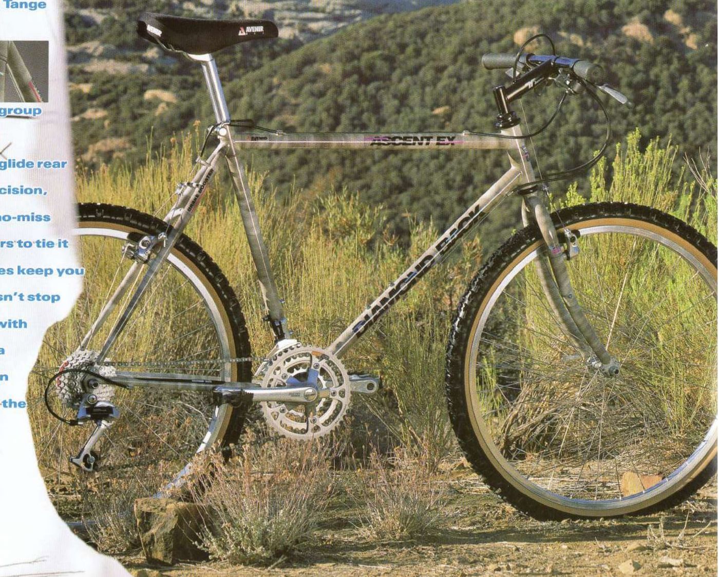 Diamond Back Ascent EX 1990